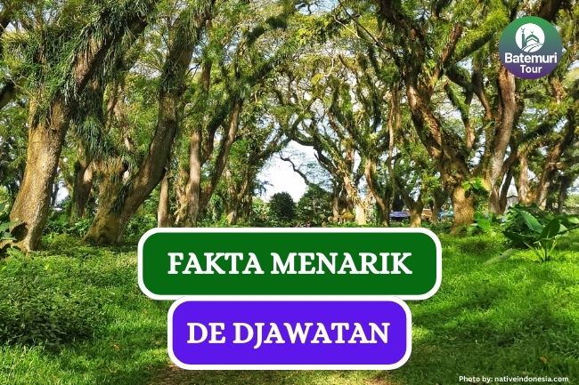 4 Fakta Menarik Tentang Keindahan 